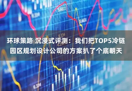 环球策路 沉浸式评测：我们把TOP5冷链园区规划设计公司的方案扒了个底朝天